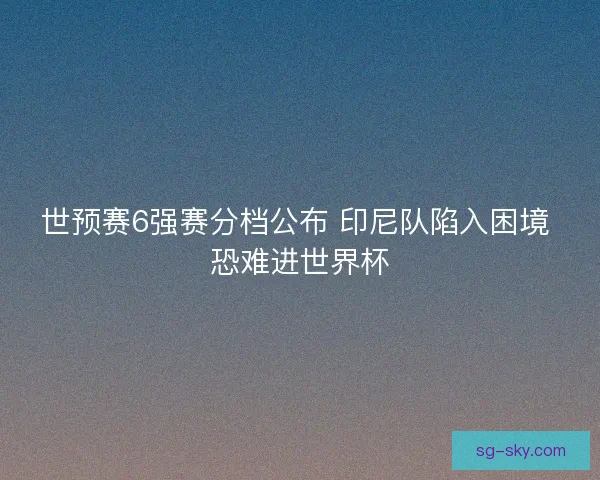世预赛6强赛分档公布 印尼队陷入困境 恐难进世界杯
